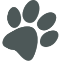 <strong>CRUELTY FREE</strong>