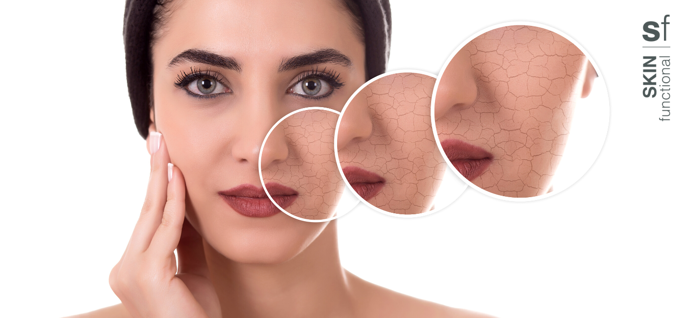 Best products & ingredients for dry skin