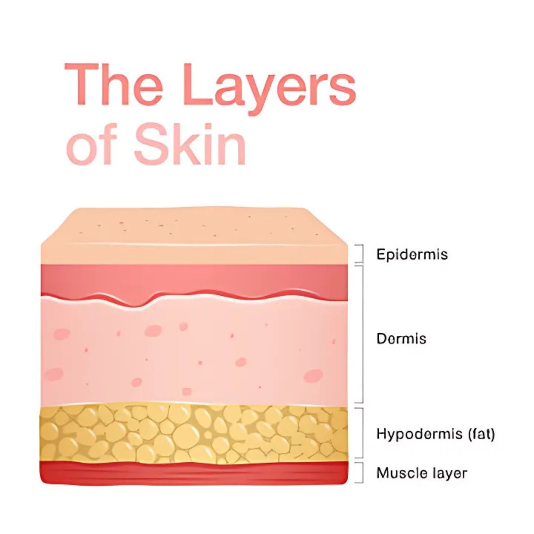 SKIN functional